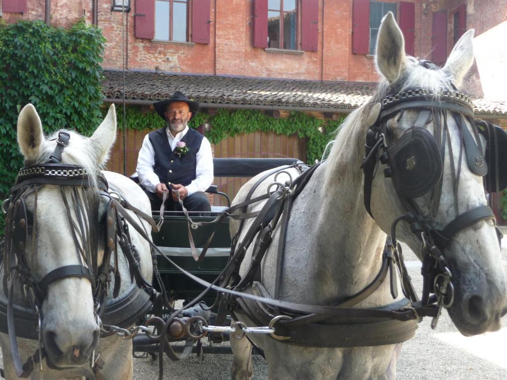 Agriturismo Cascina Vrona Villa Monteu Roero Luaran gambar